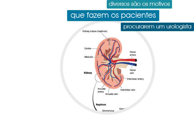 Diversos são os motivos que fazem os pacientes procurarem um urologista